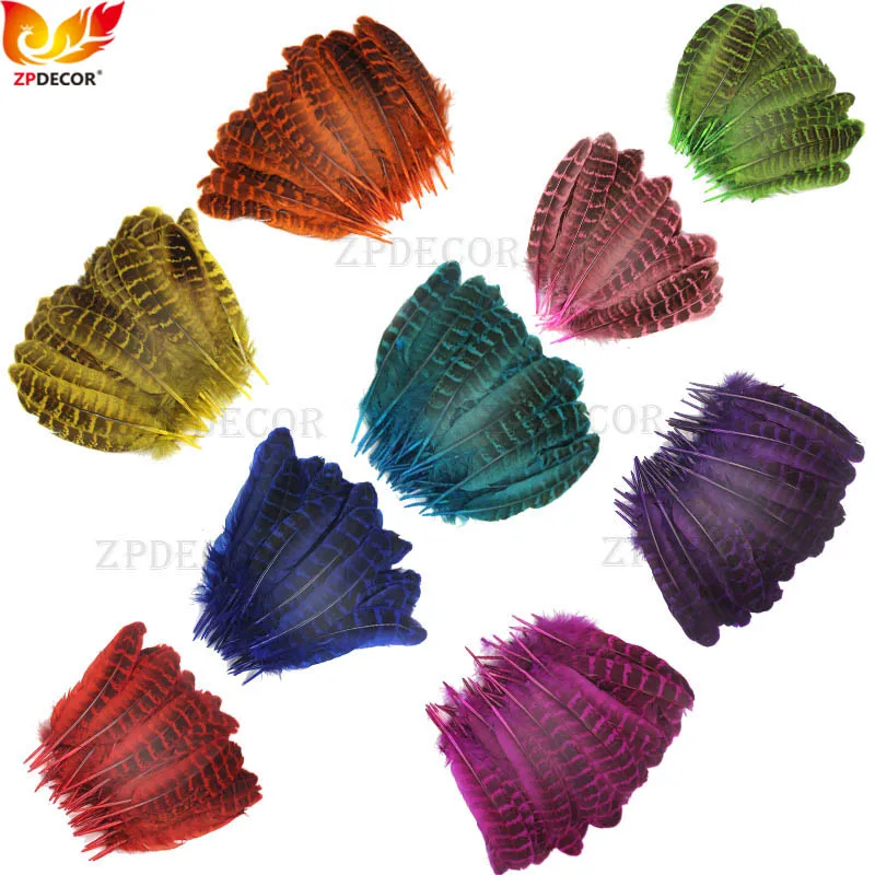 

ZPDECOR 6-8 Inch 15-20CM Hen Ringneck pheasant Wing Quills Feathers