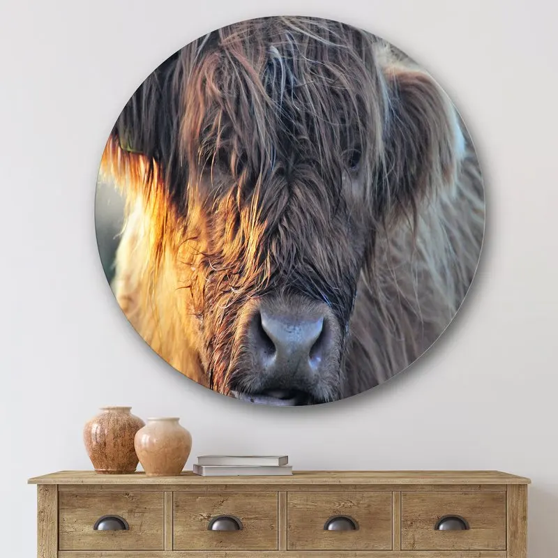 

'Close Up Of Scottish Cow On Moorland III' Farmhouse Circle Metal Wall Art 36x36 - Disc of 36