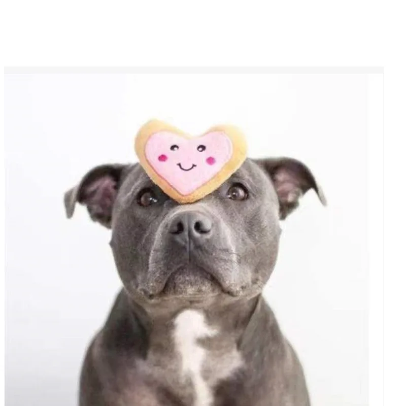 

Cookies Can Squeaky Toys Durable Training Pets Toy Interactive for Puppy Cute Dogs Plush Fashion Pet Dog Accessories Supplier