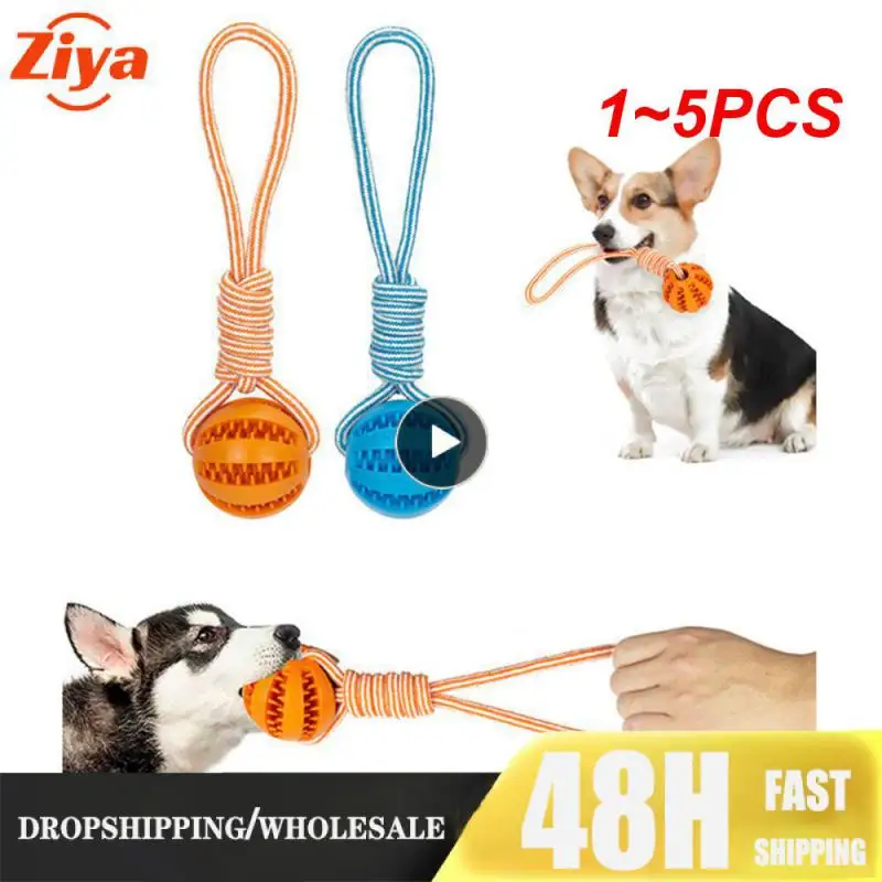 

1 ~ 5 шт., игрушки для собак из натурального каучука