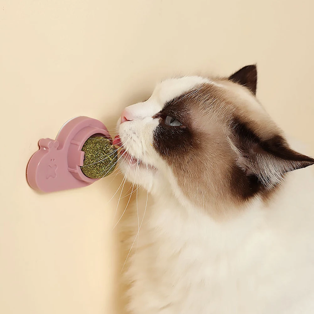 

Кошачья кожа, многофункциональная пластиковая кошачья мята, настенные шарики для чистки зубов кошек, сменная деталь