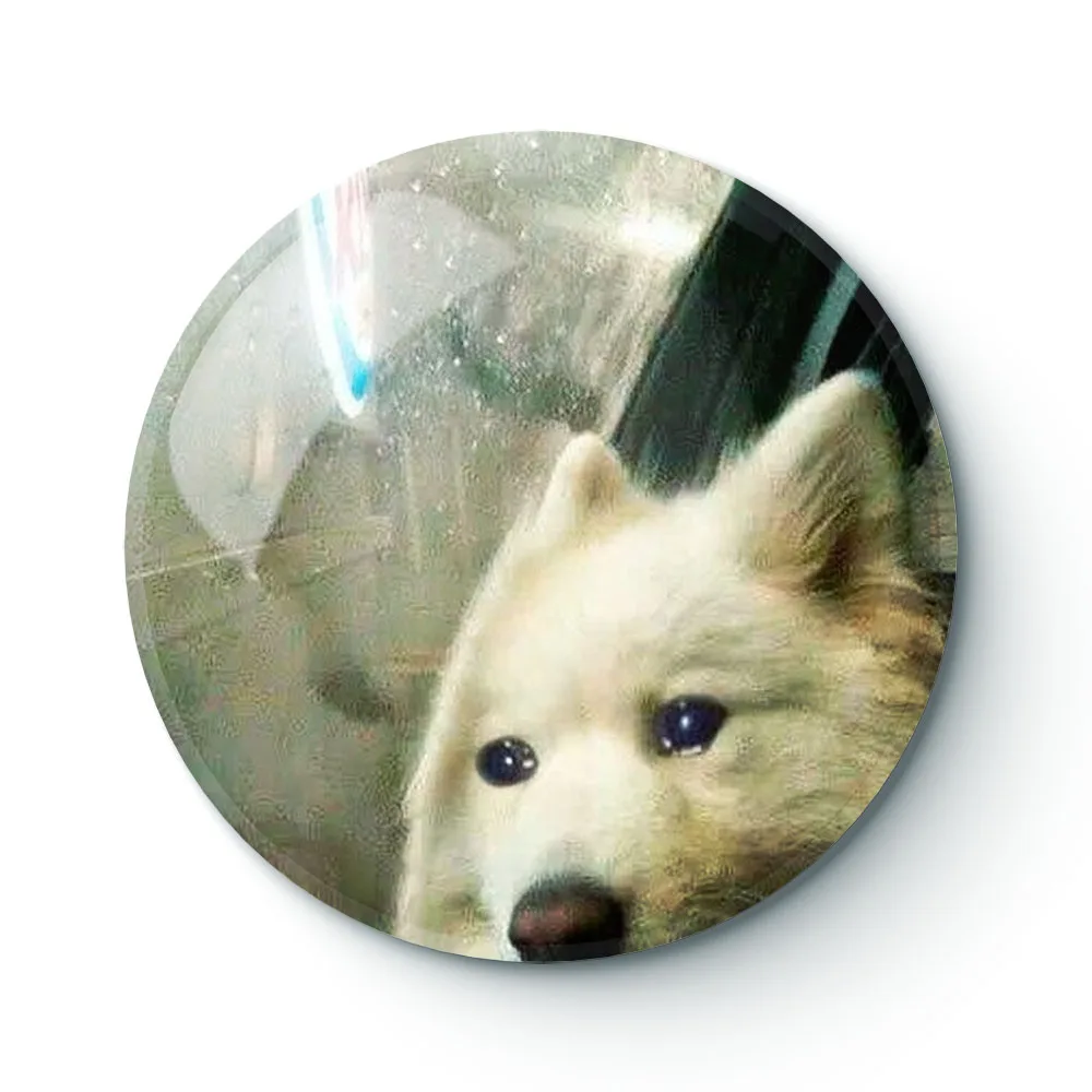 

DOG MEME 062 Buttons Brooches Pin Jewelry Accessory Customize Brooch Fashion Lapel Badges