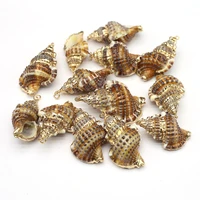 2 pcs natural sea conch pendants shell gold plated edge for diy jewelry necklace bracelet earrings
