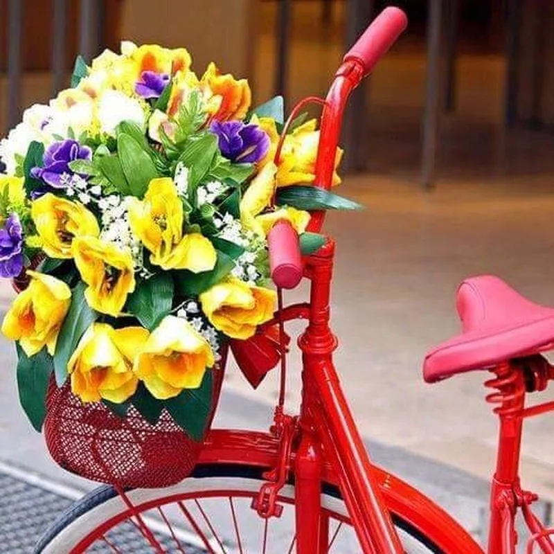

Diamond Painting Bicycle Flower 5d Diy Mosaic Full Square Round Drill Diamant Of Rhinestone Daimond Embroidery Pictures