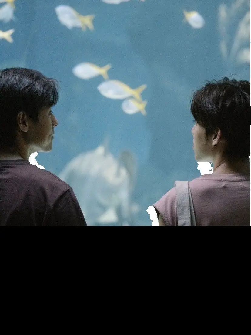 

Здравствуйте