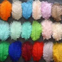 10pcs lot colored ostrich feathers for crafts wedding decoration handicraft accessories table centerpieces carnival plumas decor