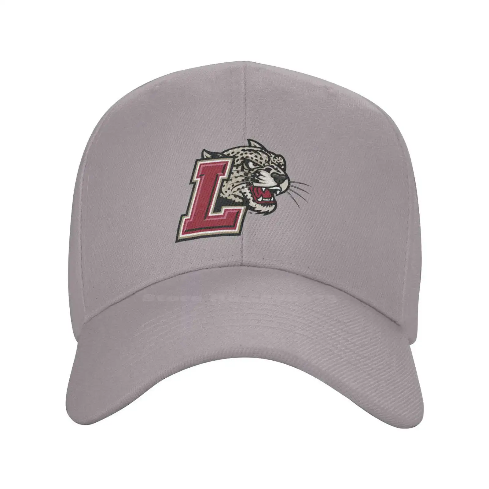 

Джинсовая бейсболка Lafayette Leopards с принтом логотипа