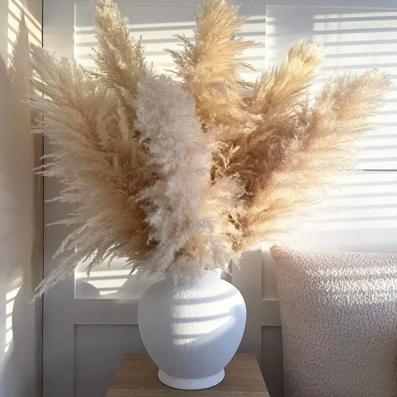 

80cm Pampas Grass Decor Extra Large Natural Dried Flowers Bouquet Wedding Flowers Vintage Style for Home Valentine's Day Gift
