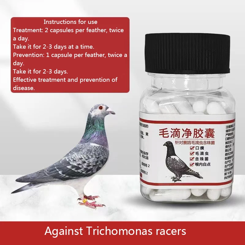 

יותתתתתתת80 כמוט ט נננננננ