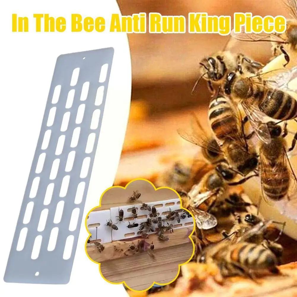 

20PCS Bee Anti-escape Box Plastic Beekeeping Tools Apiculture King Gate Bees Frame Queen Nest Hive Beekeeper Anti-Run Suppl E4F7