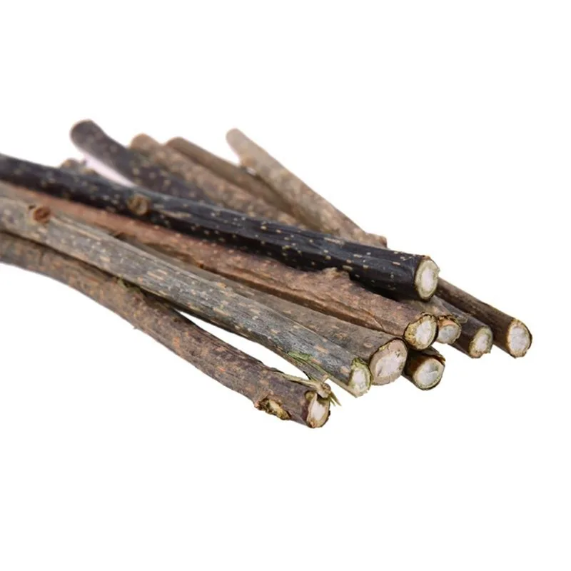

10/20 Pcs Pet Cat Natural Catnip Molar Toothpaste Stick Matatabi Actinidia Fruit Silvervine Cat Snacks Sticks Pet Cleaning Teeth