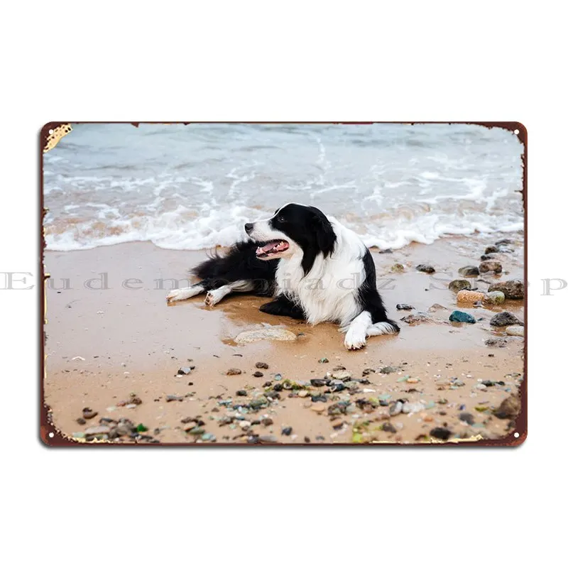 

Собака лежа на пляже металлический плакат Плакат Украшение постер дизайнерский классический винтажный жестяной знак плакат