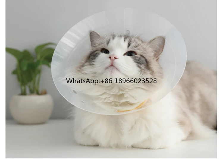 Ошейник для домашних животных лечебный конусный ошейник кошек ран защита шеи