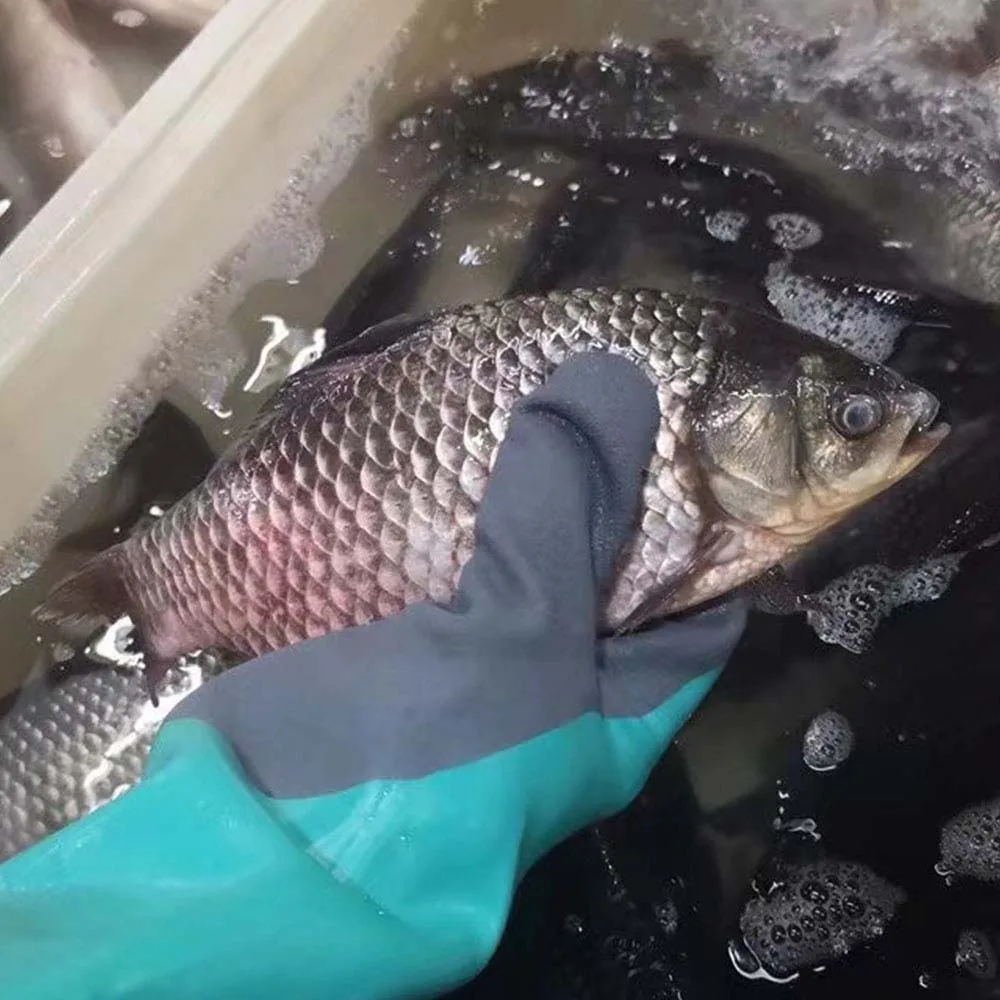 Зеленые рабочие перчатки многофункциональные чистящие для уничтожения рыб