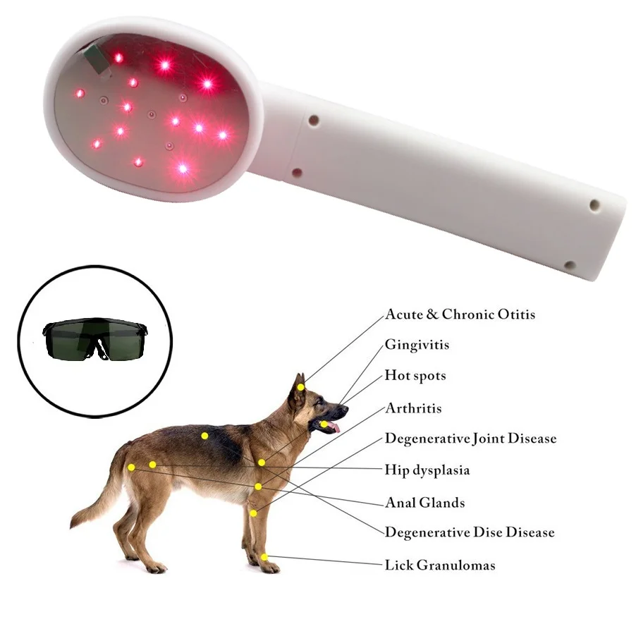 

Аппарат для животных и людей, 650нм, 808нм, ЛЛТ, низкоуровневая лазерная терапия, устройство для облегчения боли в теле, воспаления, физиотерапевтическое оборудование