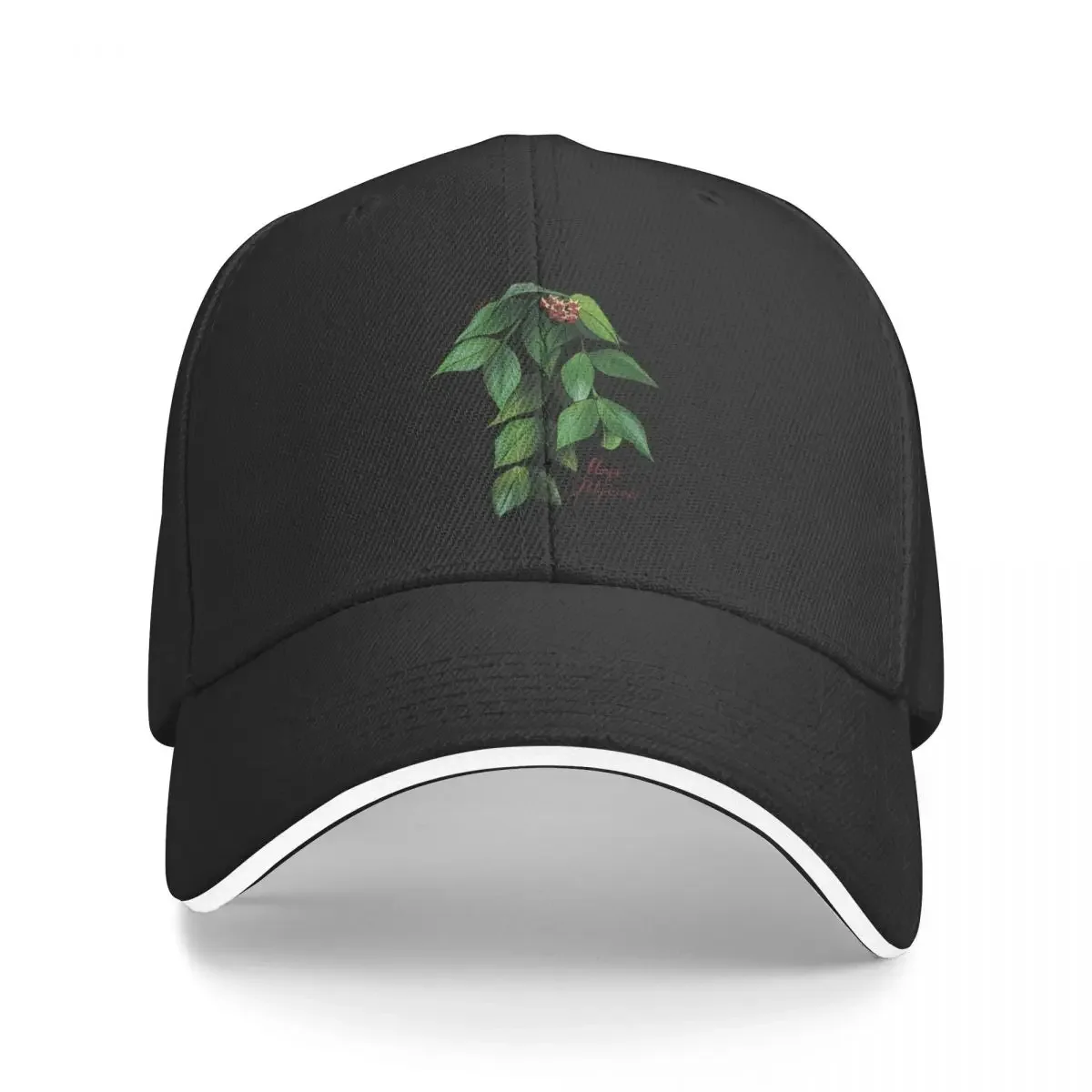 Бейсбольная кепка Hoya polyneurain Bloom летняя шляпа для гольфа роскошная мужская и