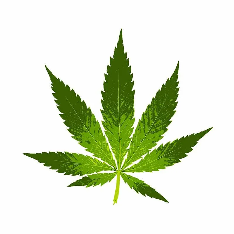 

3D листья, персонализированная модная искусственная кожа, чехол-бампер, царапины, лобовое стекло, украшение для ноутбука, изысканная Авто Наклейка