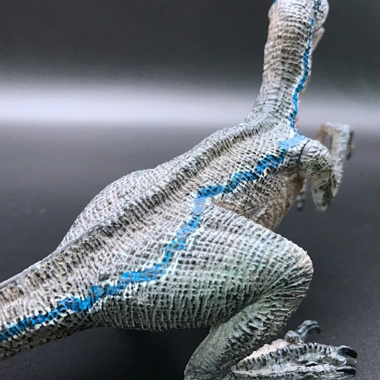 9172661738_358801987