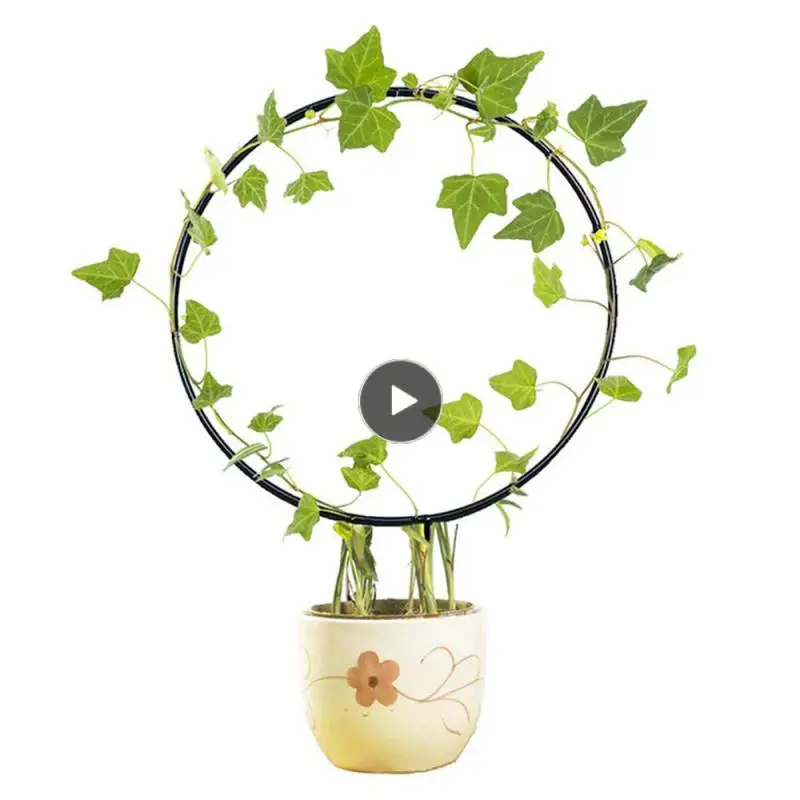 

Round Heart Shaped Flower Plant Trellis Support Frame Stable Diy For Potted Climbing Plants Flower Vegetables Vine Rack Black