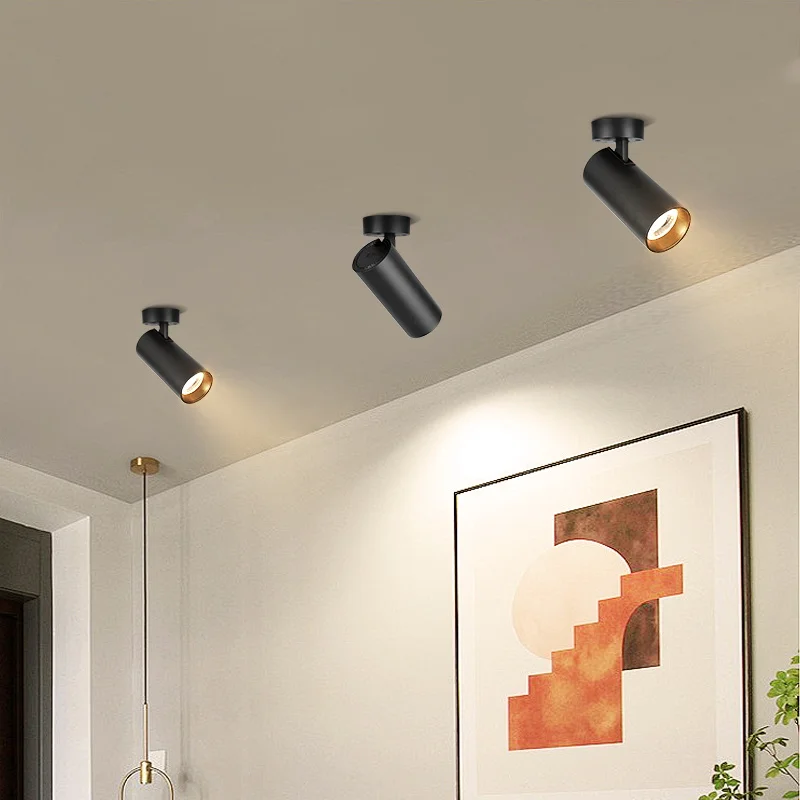 Светодиодный потолочный светильник NoEnName_Null складной черный/белый