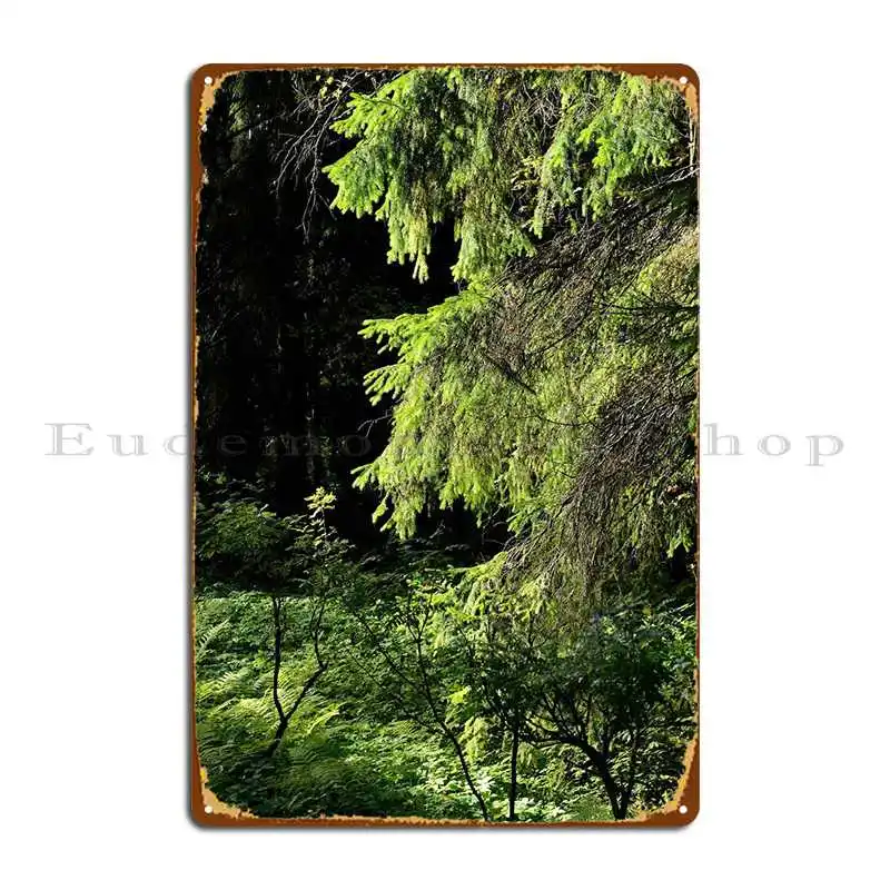 

Металлический плакат с изображением темного сосна леса