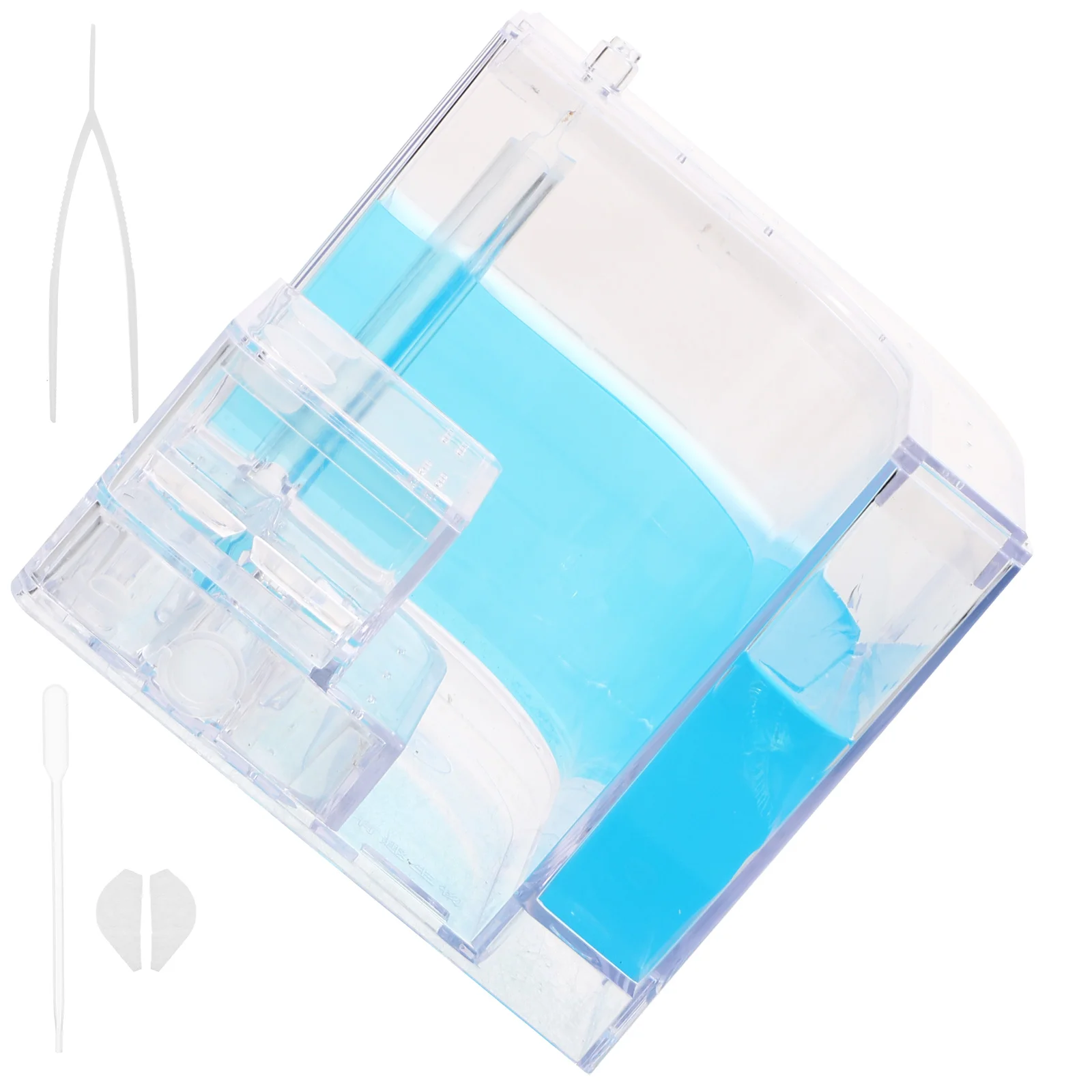 

Муравьиное гнездо, экологическая коробка, коробка для разведения муравьев, научный эксперимент, муравьиный пластиковый замок