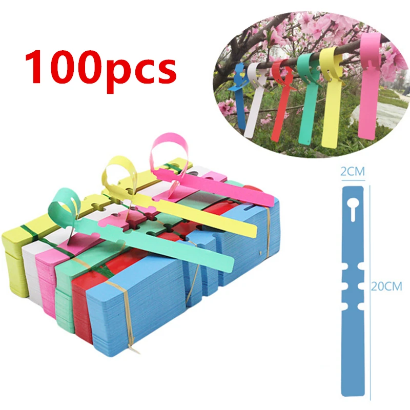 

100 Pieces Garden Plant Labels Plastic Durable Waterproof Nursery Gardening Plants Hanging Tags Sapling Fruit Trees Marker Signs
