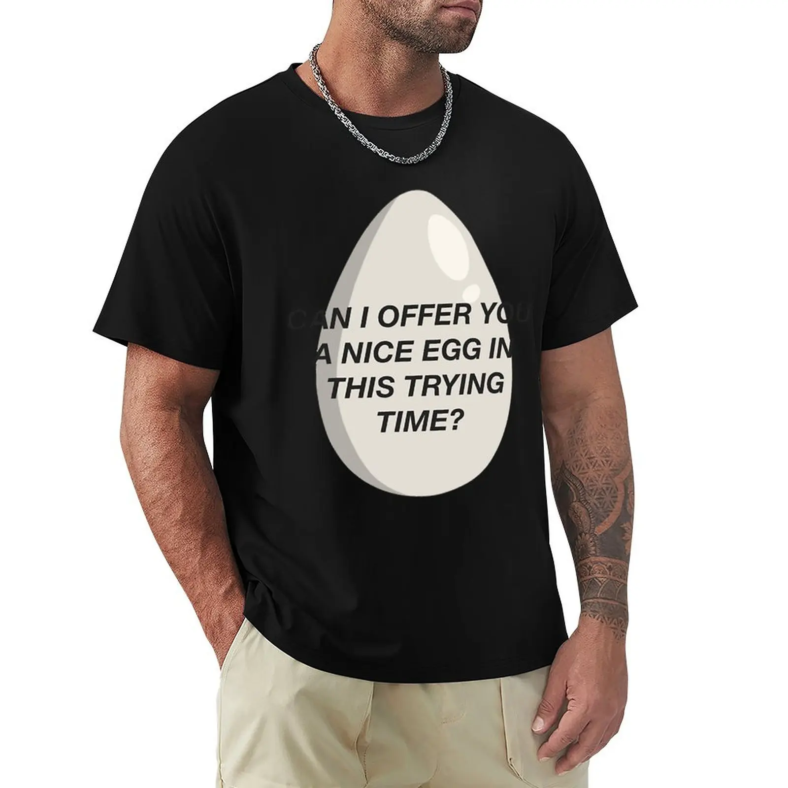 CAN I OFFER YOU A NICE EGG IN THIS TRYING TIME - It_s Always Sunny (1) Футболка футболка аниме больших размеров