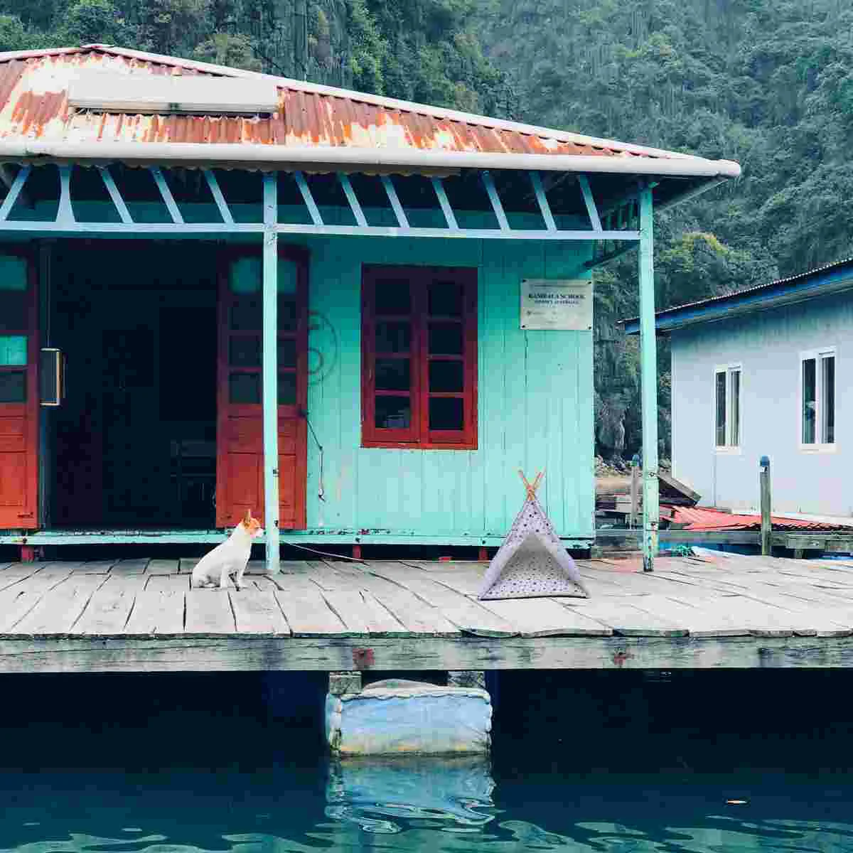 

Dog Pet Teepee Tent Cat Bed Housedogs Indoor Puppy Breathabletents Bedscave Cage Portable Catshouses Outdoor Cushion Kennel