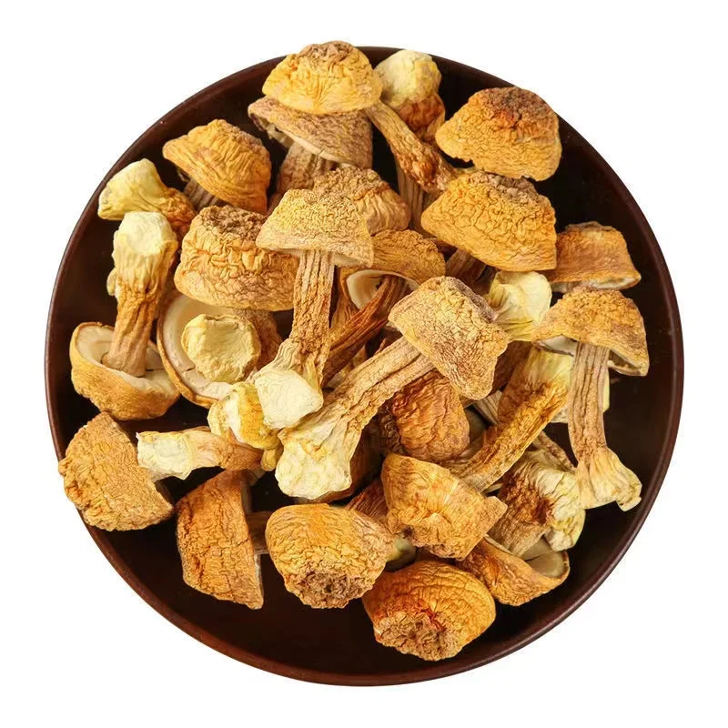 

250g-1000g Organic Dried Almond Mushroom Agaricus Blazei Murrill Mushroom Ji Song Rong extract powder