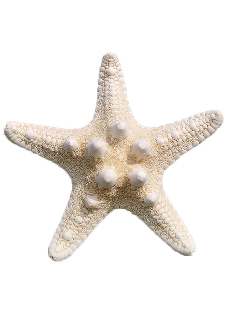 Реквизит для фотосъемки с изображением натуральной морской звезды короля шипов