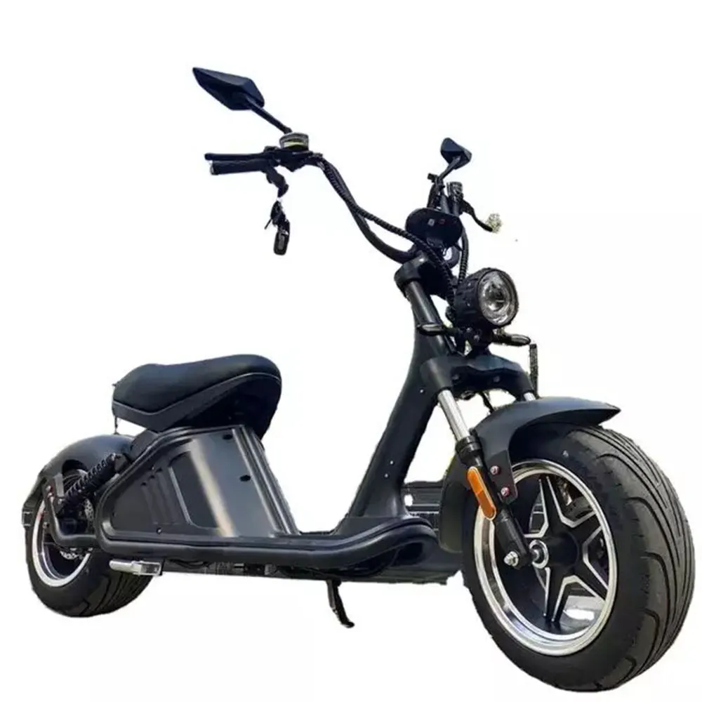 

Wholesale Fast 2000W Adult Electric High Power Male And Female Electric Scooter Motorcycle Citycoco With Removable Battery 60v