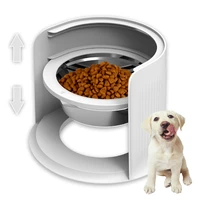 adjustable dog cat bowl steel elevated height removable for dogs cats double stainless pet bowls food water feeder dish non slip