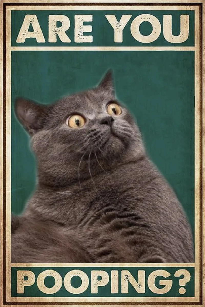 

Жестяной знак в виде кошки, Искусственный металлический Ретро винтажный декор для бара, настенные постеры, винтажный металлический знак, ярлык, тройник, 30*20 см