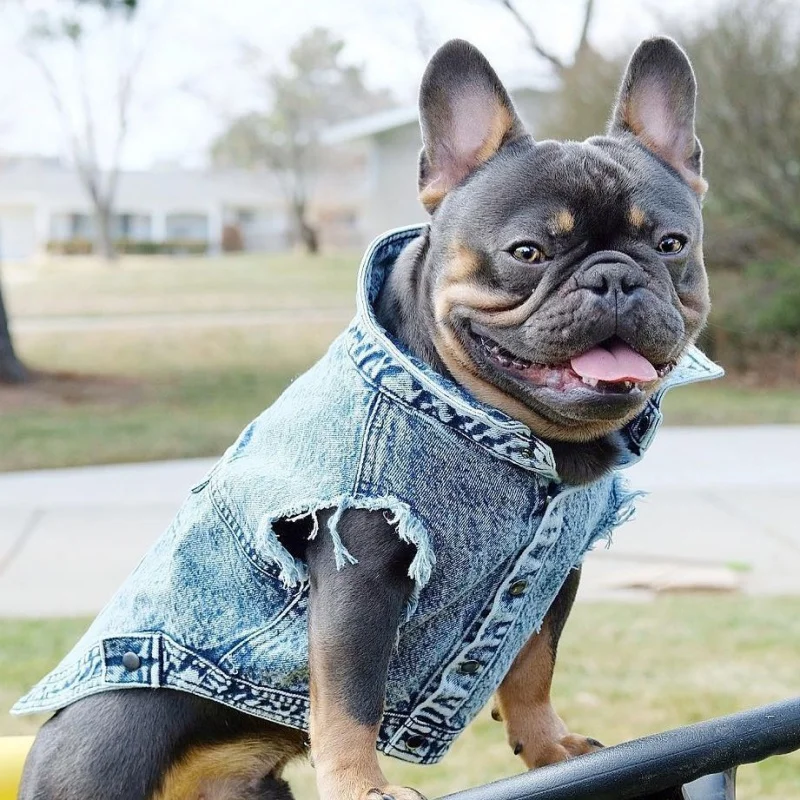 

Fashion Pet Dog Jeans Jacket Denim Coats Holes Cats Puppy Vest French Bulldog Small Dog Clothes Spring/Autumn Apparel