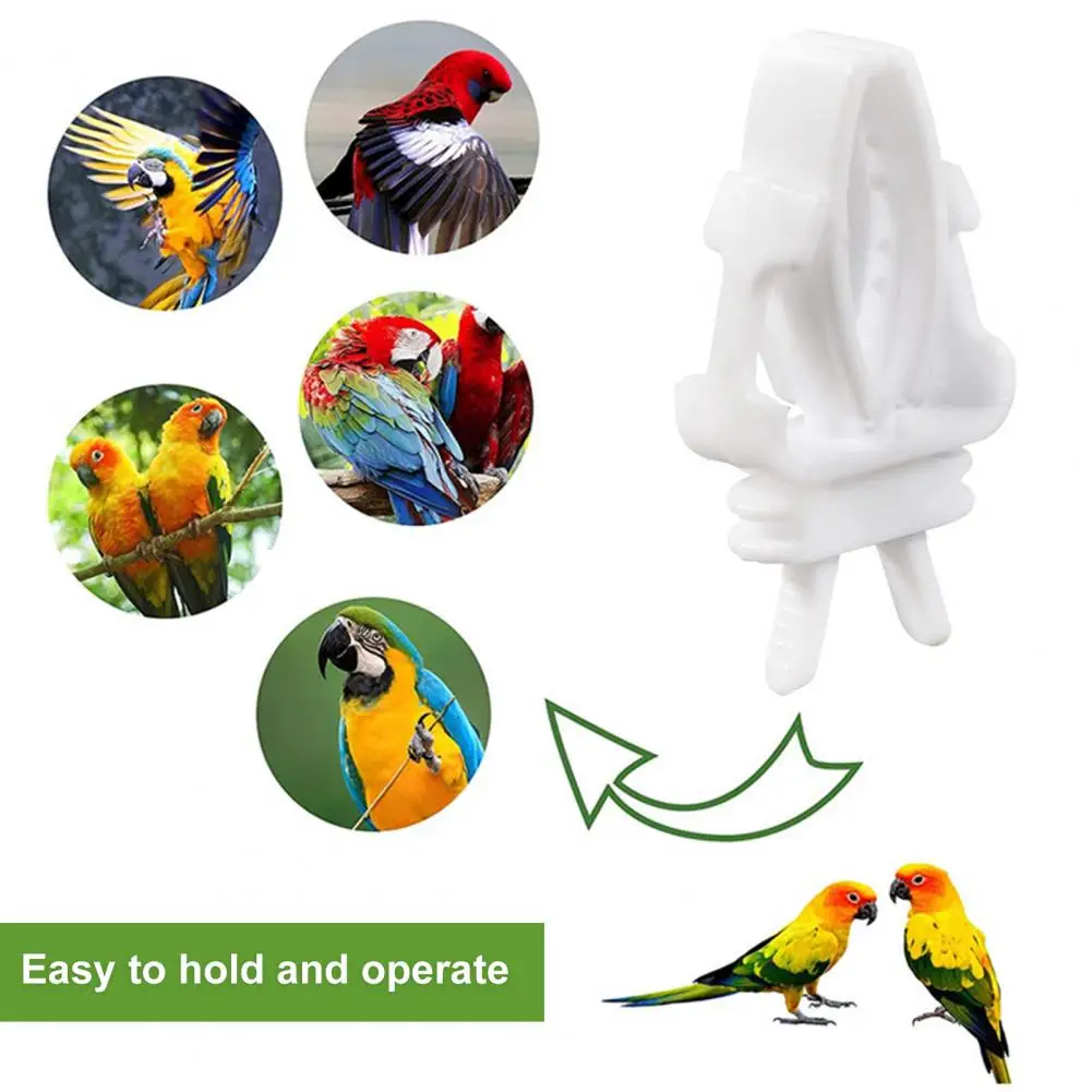 

Birdcage Vegetable Tongs Food Grade Sturdy Parrot Bird Cage Fruit Clips Long Lasting Birdcage Food Holder Birdcage Supplies