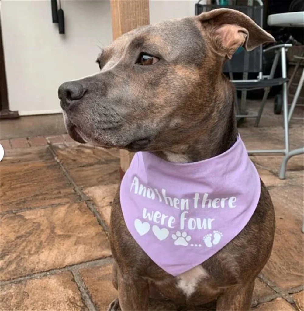 И затем была четыре собаки бандана объявление малыша ошейник беременности
