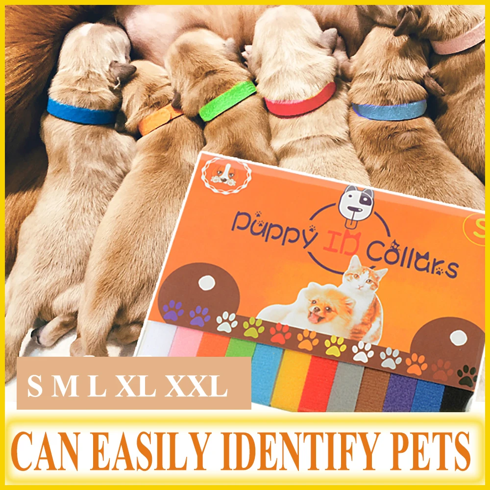 12PCS New Arrival Pet Identification Circle Neck Belt Puppy Cat Soft Collar Dog Mark Rope Canine Feline Newborn Home |
