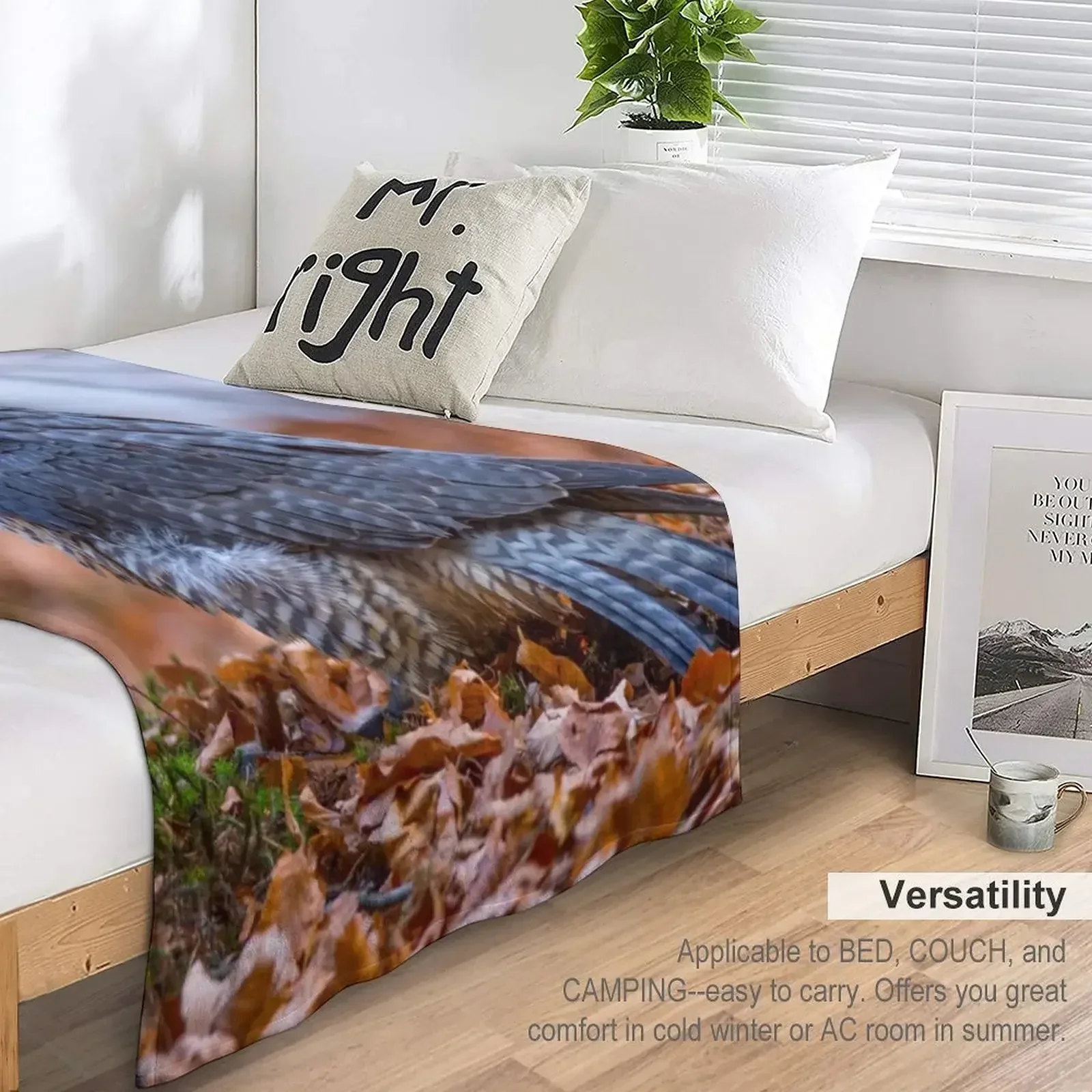 Новое одеяло с сапсанными соклами дизайнерские рождественские украшения одеяла