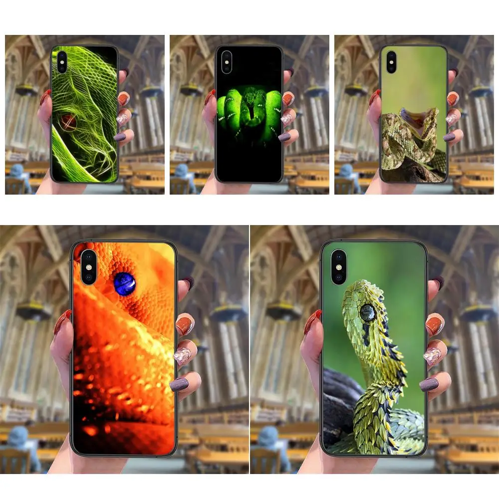 

Soft Mobile Phone Cover Fundas Snakes For Galaxy A3 A5 A7 A02S A03S A10 A10E A10S A11 A750 A6 A7 A8 Core Plus 2018 Star Closeout