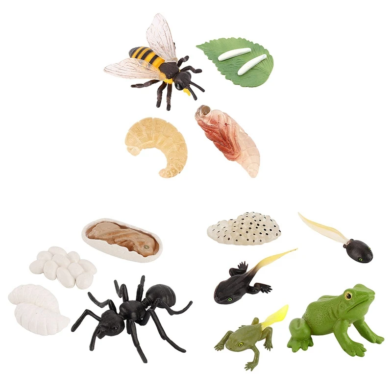 

Hot Sale 13 PCS Life Cycle Figures Of Frog,Ant,Bee Plastic Realistic Animal Model Figurines Growth Science Educational Toys