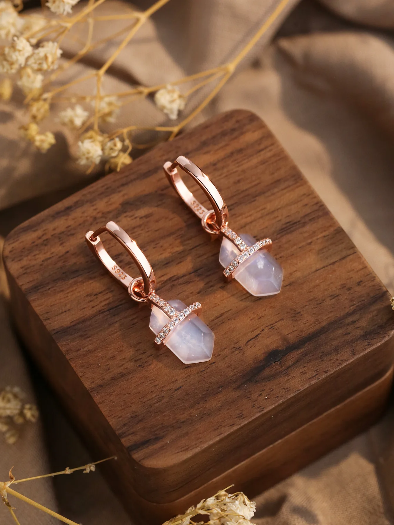 

2023 New 100% S925 Sterling Silver Diamond Earrings Fashion High end Women's Moonlight Stone and Zircon Earrings