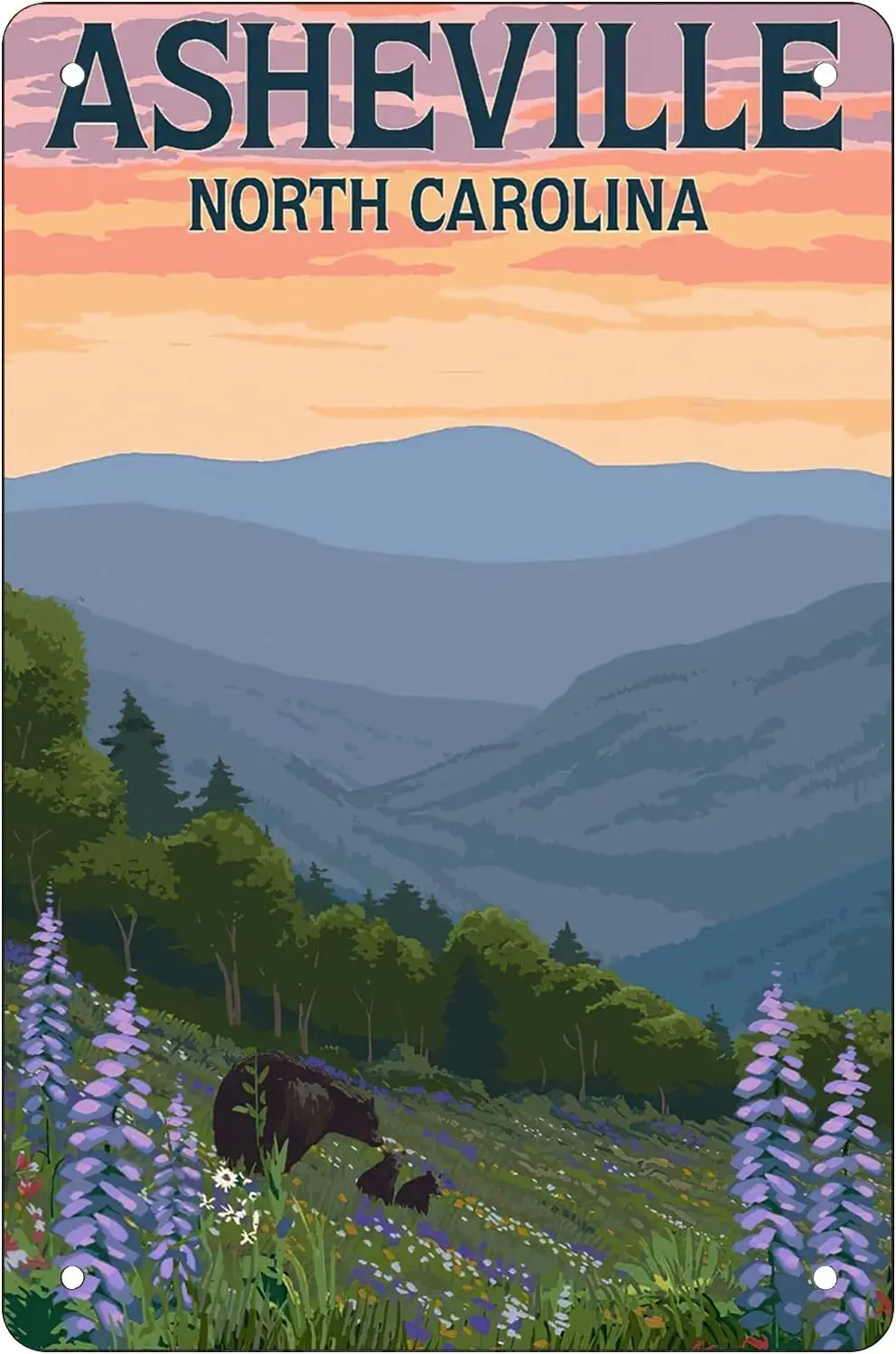 Ретро забавные металлические листовые знаки Asheville Северная Каролина Украшение