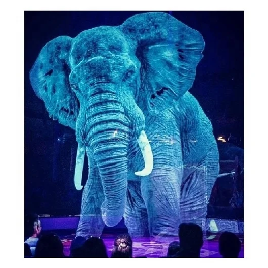 

Hologauze Holographic Mesh Screen For Hologram Projection system