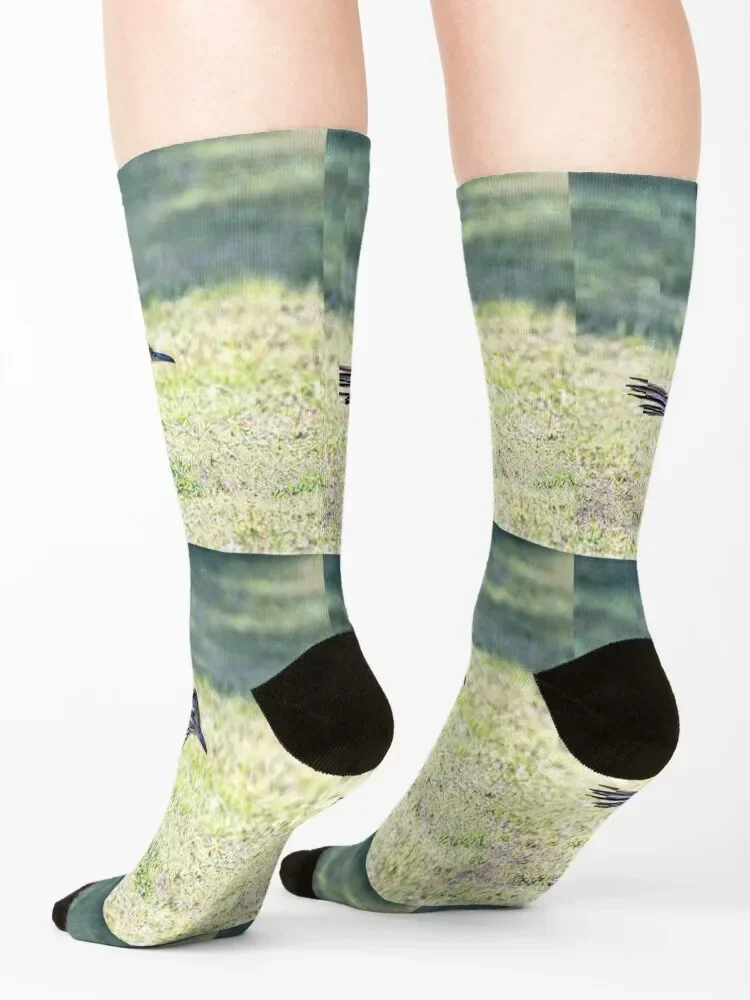 Большой Roadrunner готовые к образованию носки рождественские чулки походные ботинки