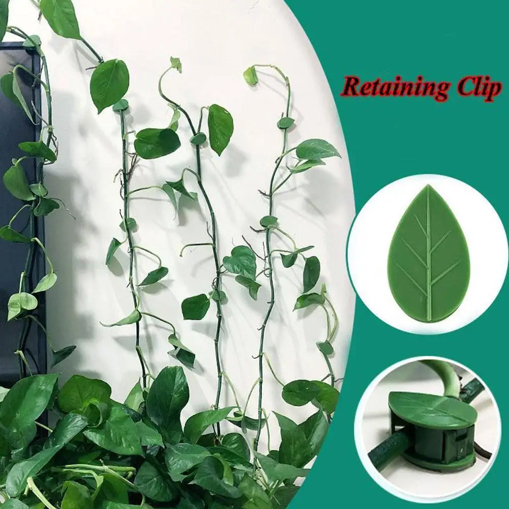 

Invisible Plants Bracket Plant Root Fixed Buckle Leaf Climb 10/20/30Pcs Clips Wall Fixture Rattan Holder Traction Garden Vi B2H1