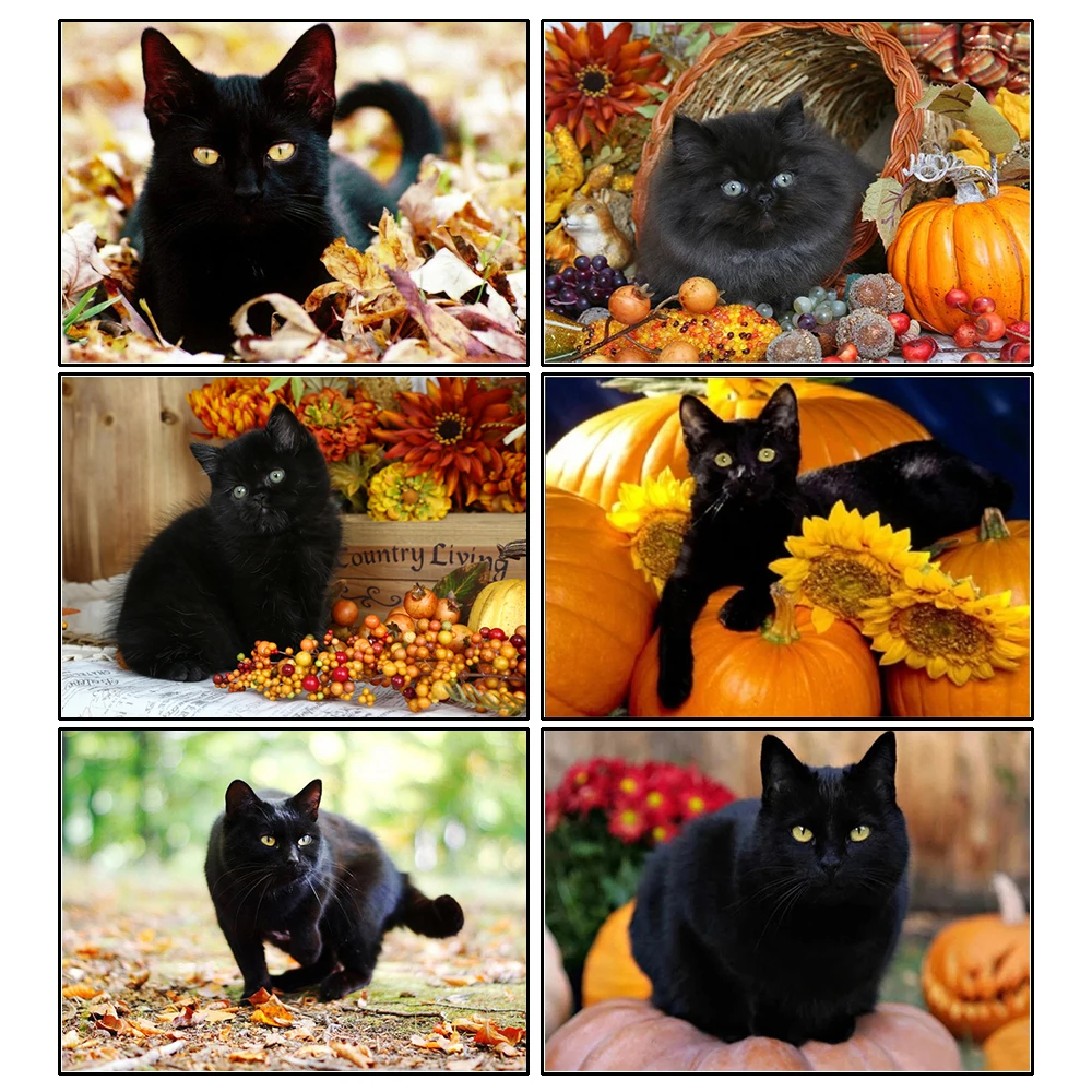 

Diamond Painting Kit Black Cat Animal Diamond Embroidery Mosaic Handmade Picture Of Rhinestones Gift Home Decor 5d Diy 2