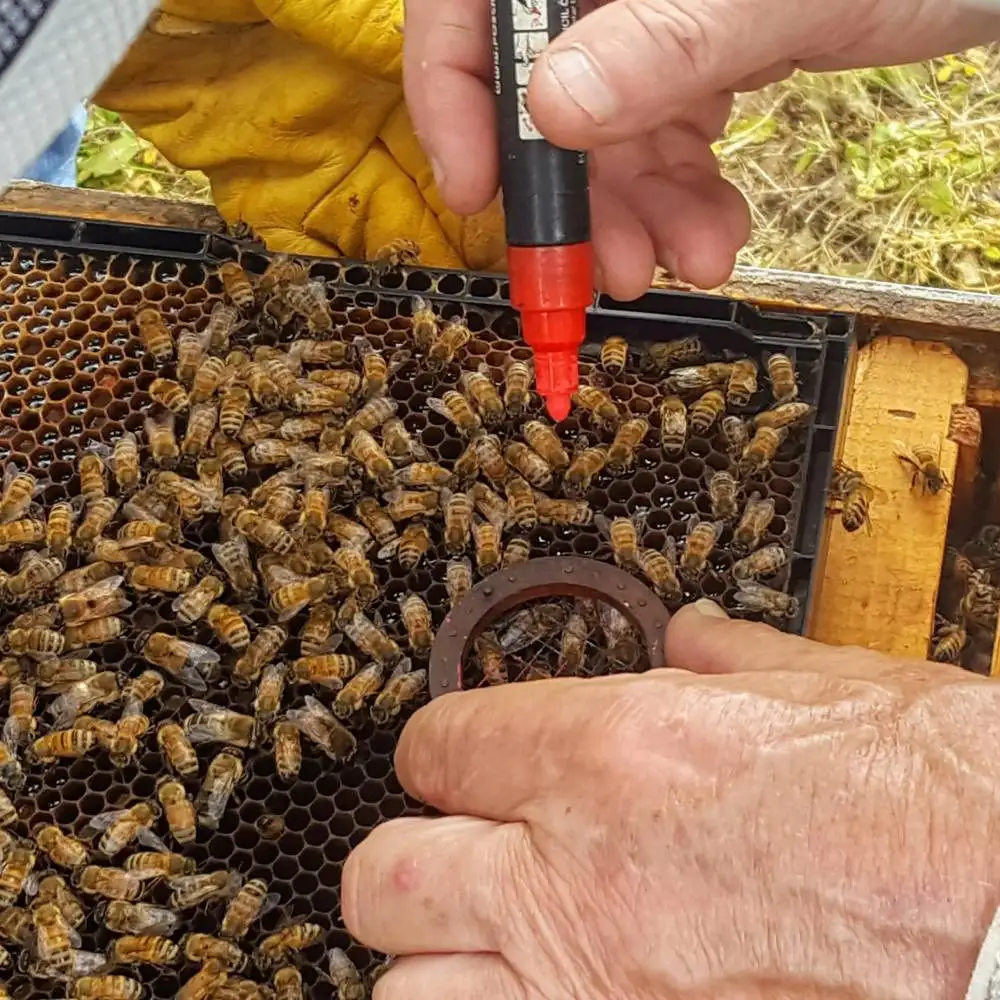 8-в-1 комплект для выращивания королевы пчелы маркировки с ручкой бутылка и