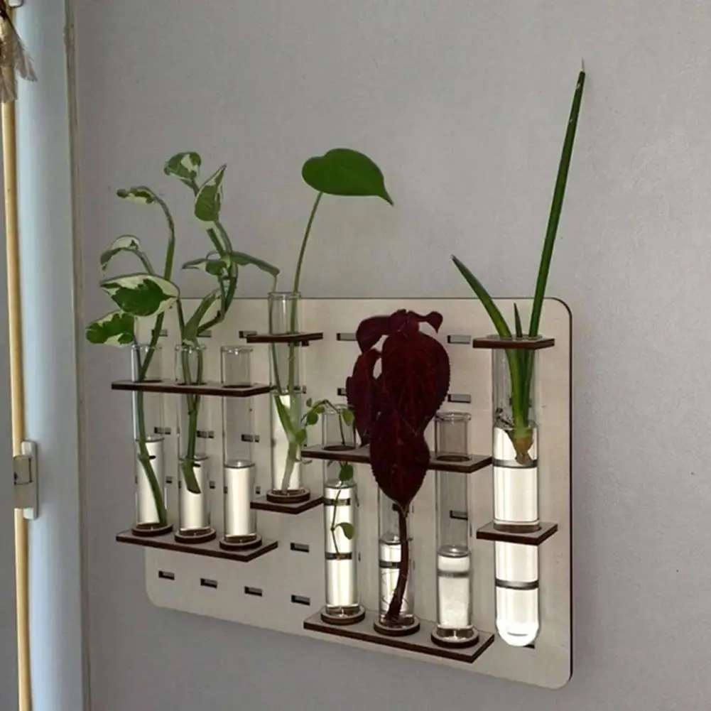 

Hydroponic Planter Professional Transparent Decorative Cuttage Terrace Decoration Wall Hydroponic Planter Household Supplies