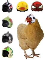 chicken helmet pigeon pet cap sunscreen and rainproof toy protection helmet costumes quail hat headgear accessories supplies